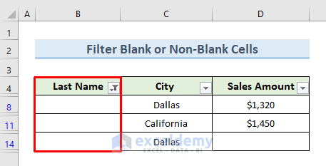 Use Keyboard Shortcut to Filter Blank or Non-Blank Cells