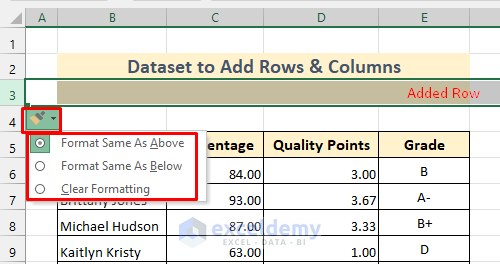 Rows Added in Excel