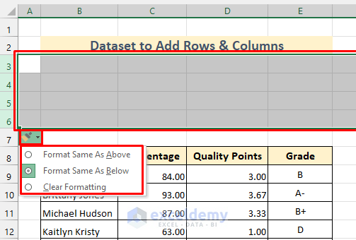 Multiple Rows Added in Excel