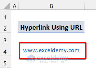 Hyperlink Using URL