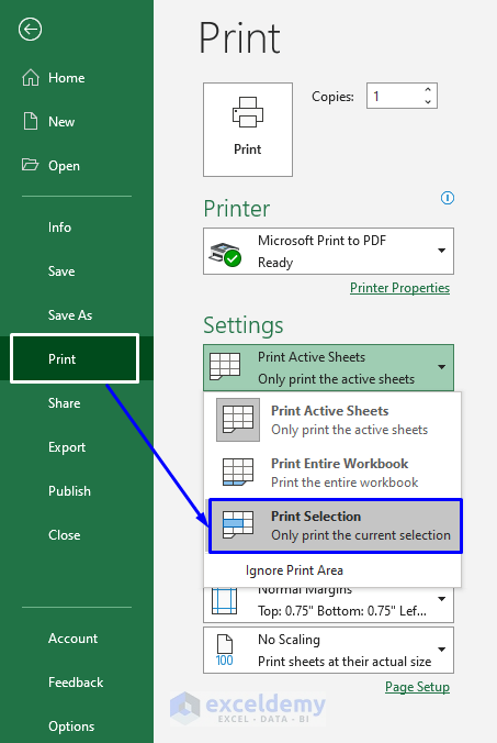 Selecting Only the Necessary Data to Print on One Page in Excel