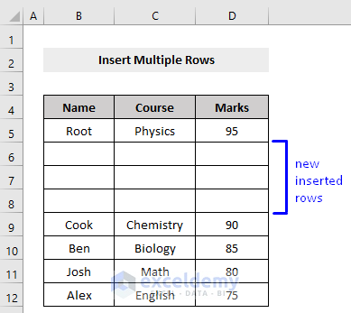 Result of VBA Macro to Insert Multiple Row of a Range in Excel
