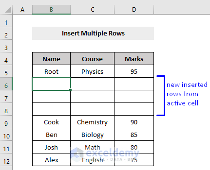 Result of VBA Macro to Insert Multiple Row from Active Cell in Excel