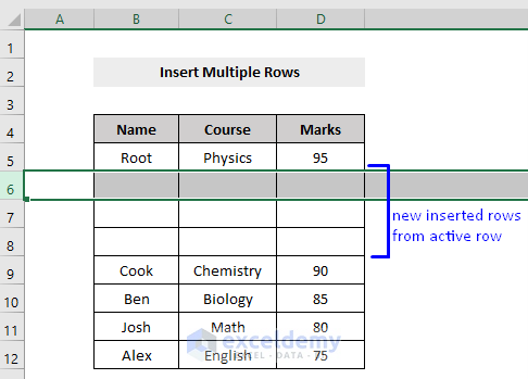 Result of VBA to Insert Multiple Row from Active Row in Excel