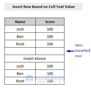 Result of VBA to Insert a Single Row Based on Cell Text Value in Excel