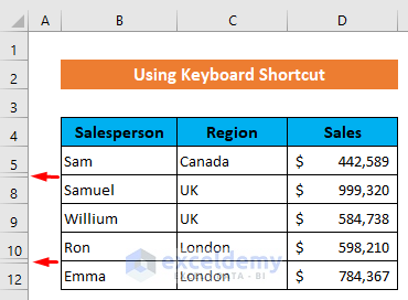 Apply Keyboard Shortcut to Copy Rows in Excel Except the Hidden Ones