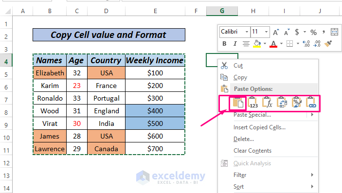 Copy cell format and values paste option