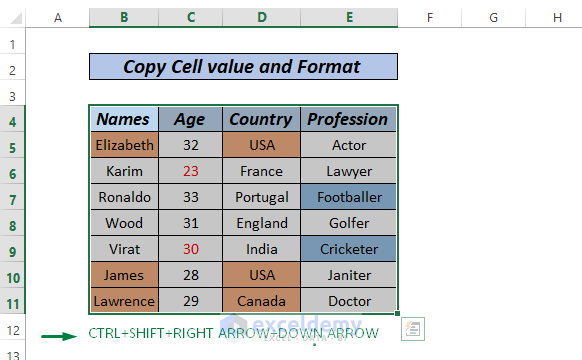 Copy cell format and values shortcut