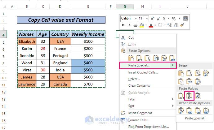 Copy cell format and values paste special