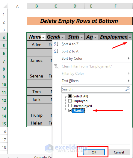 Delete Empty Rows at Bottom by filter Data Command