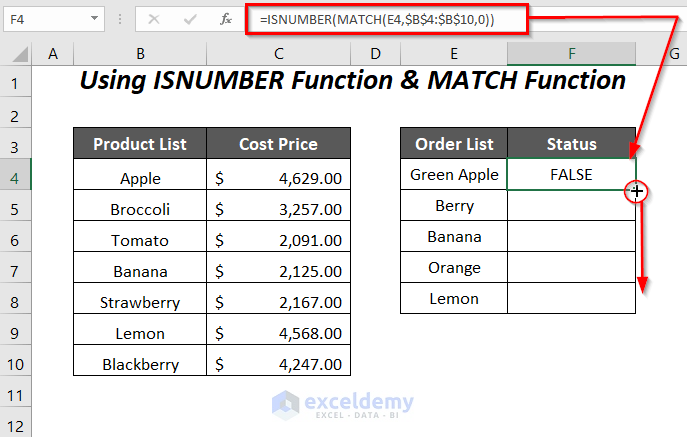 ISNUMBER & MATCH Function