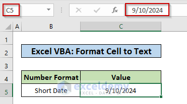Excel VBA Format Cell as Text