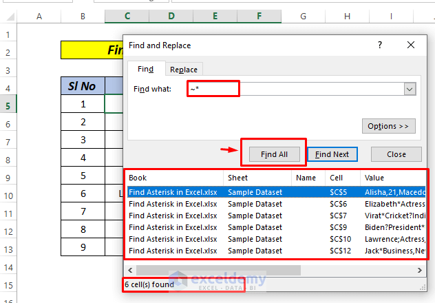 excel find * character not wildcard using find and replace