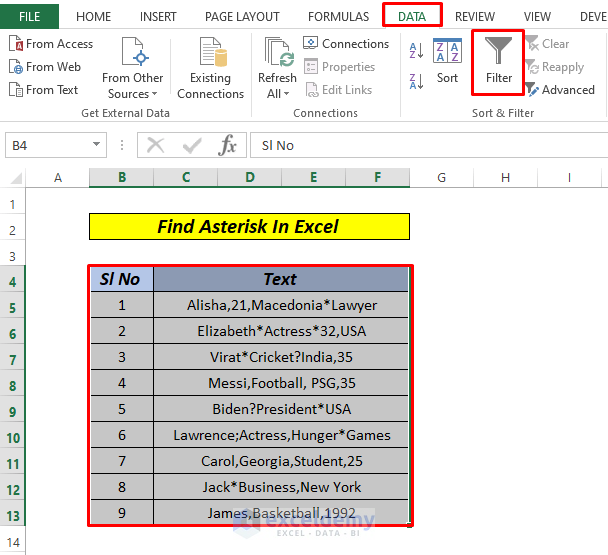 Find Asterisk in Excel by filter