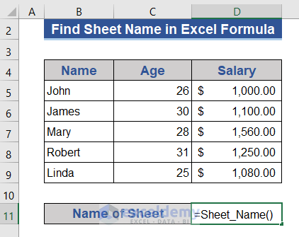 Excel Sheet Name in Cell Using Custom VBA Function