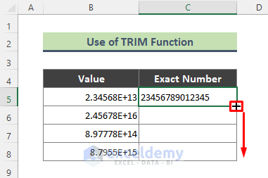 Excel TRIM Function to Turn Exponential Value to Exact Number