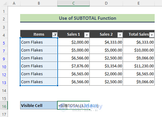 Excel SUBTOTAL Function to Count Only Visible Cells