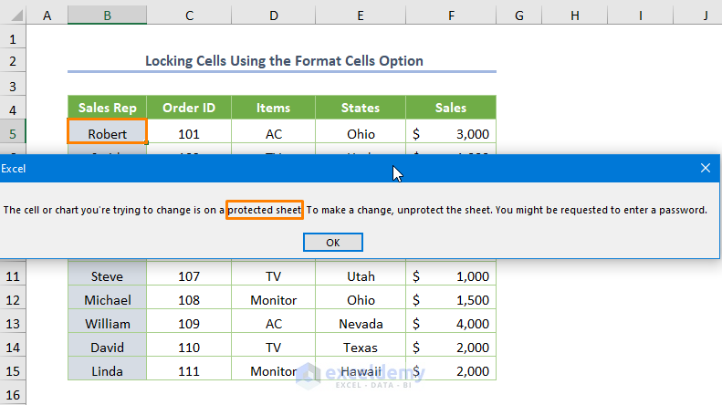 Using the Format Cells Option