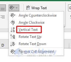 Write Vertically Using vertical text Orientation in Excel