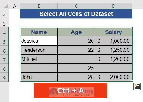 Excel Keyboard Shortcut to Select All Cells in the Dataset