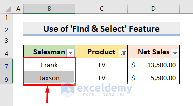 Excel Find & Select Feature to Copy Only the Visible Cells in Filtered Column