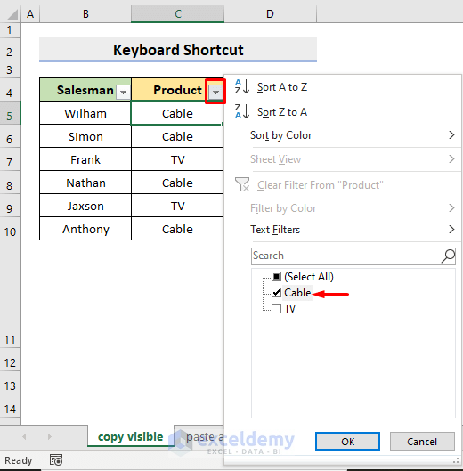Keyboard Shortcuts to Copy and Paste When Filter is On in Excel