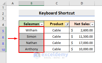 Keyboard Shortcuts to Copy and Paste When Filter is On in Excel