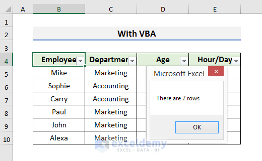 Final Output after Running Excel VBA Code to Count Filtered Rows