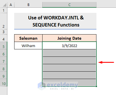 Apply WORKDAY.INTL & SEQUENCE Functions in Excel to Autofill Workdays with Custom Weekend Parameter