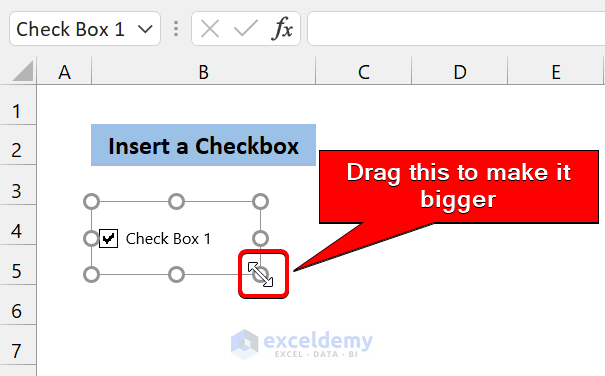 Customize the Checkbox in Excel