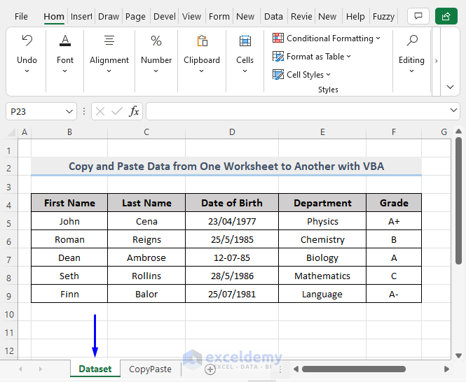 Dataset of VBA Macro to Copy and Paste Data from One Worksheet to Another in Excel