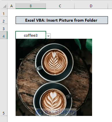 Excel VBA Insert Picture from Folder