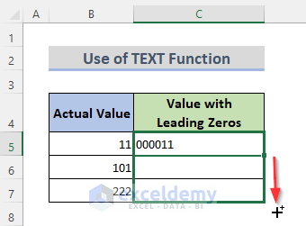 Apply TEXT Function to Add Leading Zeros in Excel