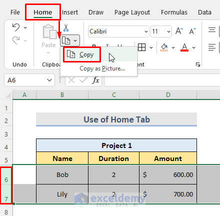 Use Home Tab to Copy and Paste in Excel and Keep Cell Size