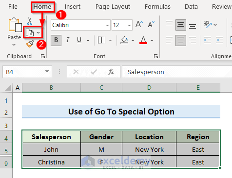 Use ‘Go To Special’ Option to Copy and Paste Only Visible Cells