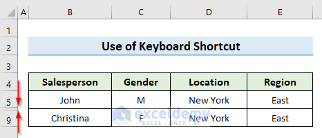 Excel Keyboard Shortcut to Copy and Paste Visible Cells