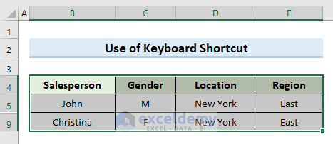 Excel Keyboard Shortcut to Copy and Paste Visible Cells