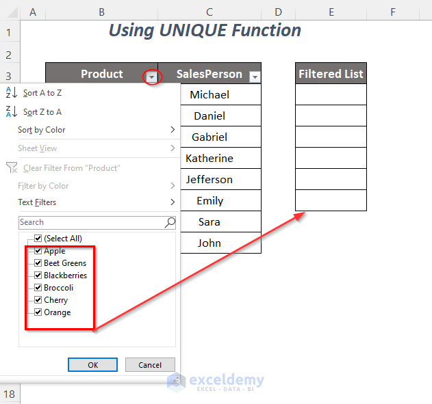 how to copy filter drop down list in Excel