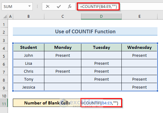 Find Blank Cells with Excel COUNTIF Function