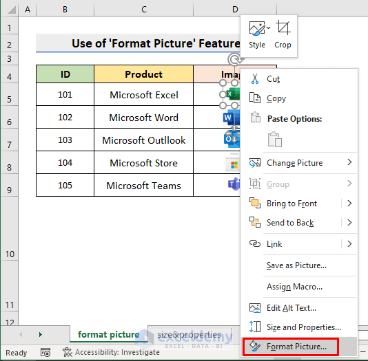 Lock Image in Cell with Excel Format Picture Feature