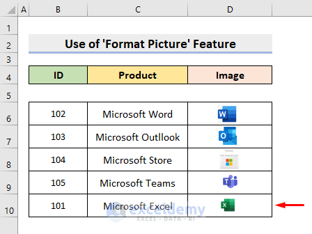 Lock Image in Cell with Excel Format Picture Feature