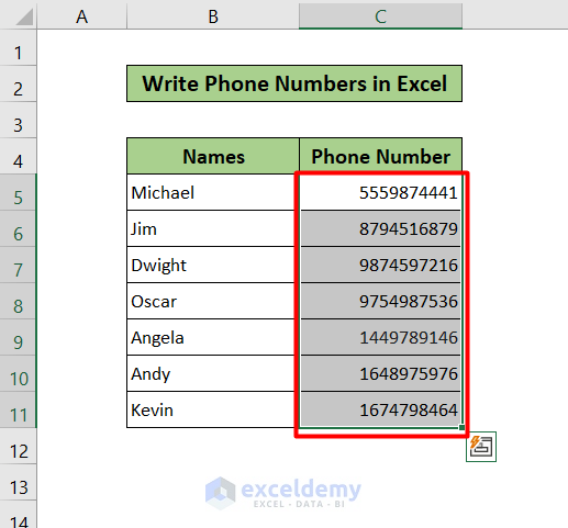 Selecting the Cells that Contain Phone Numbers without formatting