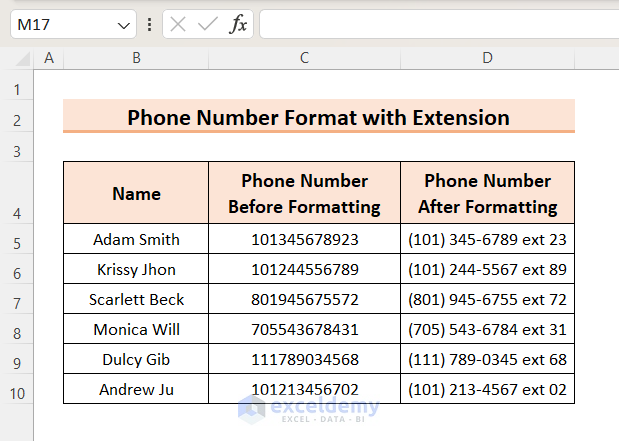 Phone Number Format with Extension