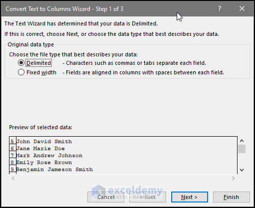 Choose the file type in the text to column wizard window-