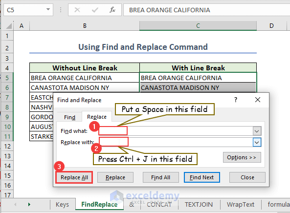 input necessary fields in find and replace box