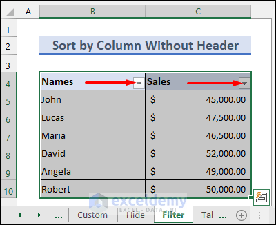 Unmark the Header and Sort Data Using Excel Filter Button
