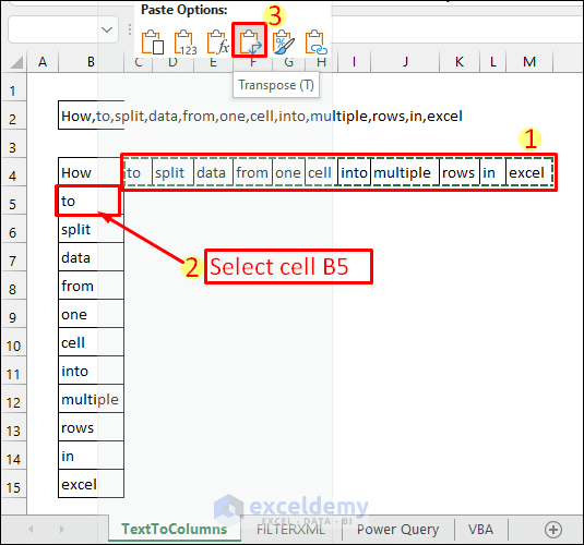 Split Data from One Cell into Multiple Rows with Text to Columns & Paste Special in Excel