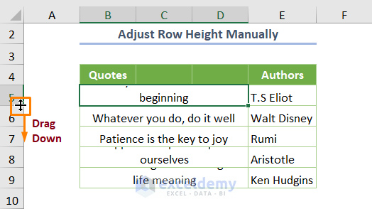 Adjust Row Height and Column Width Manually