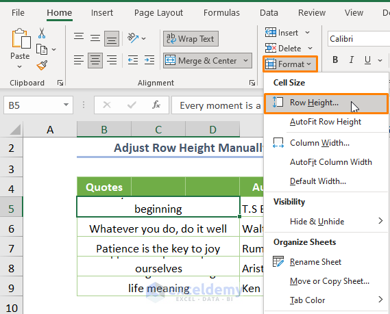 Adjust Row Height and Column Width Manually