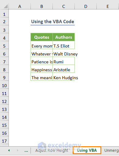 Using the VBA Code